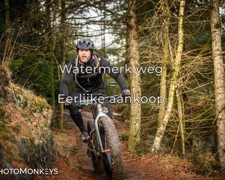 Drenthe 200 Extreme Marathon photo