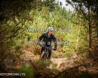 Drenthe 200 Extreme Marathon photo