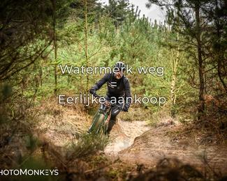 Drenthe 200 Extreme Marathon photo
