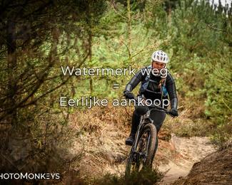 Drenthe 200 Extreme Marathon photo