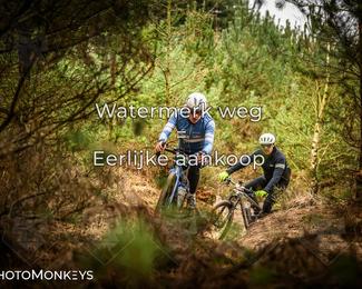 Drenthe 200 Extreme Marathon photo