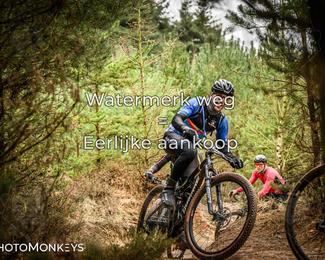 Drenthe 200 Extreme Marathon photo