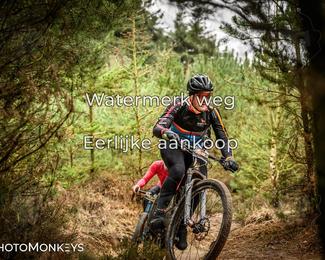 Drenthe 200 Extreme Marathon photo