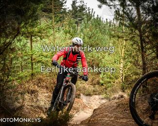 Drenthe 200 Extreme Marathon photo