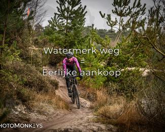 Drenthe 200 Extreme Marathon photo