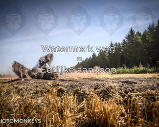 Foto's Boerenrock Festival 14-08-2026 | Cross Country photo