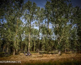 Foto's Boerenrock Festival 14-08-2026 | Enduro photo