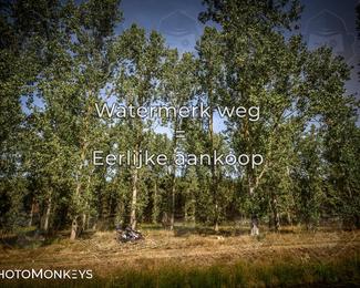 Foto's Boerenrock Festival 14-08-2026 | Enduro photo