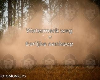 Foto's Boerenrock Festival 14-08-2026 | Enduro photo