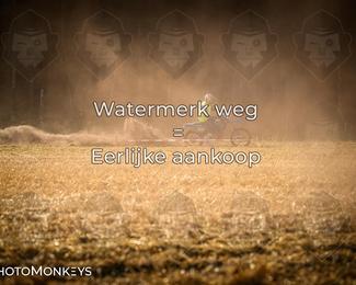 Foto's Boerenrock Festival 14-08-2026 | Enduro photo