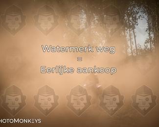 Foto's Boerenrock Festival 14-08-2026 | Enduro photo