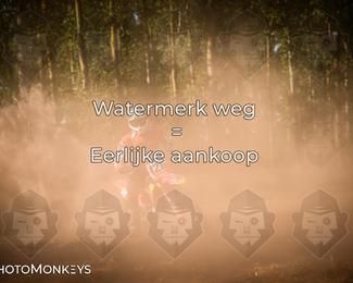 Foto's Boerenrock Festival 14-08-2026 | Enduro photo