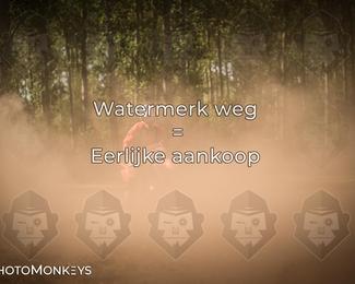 Foto's Boerenrock Festival 14-08-2026 | Enduro photo