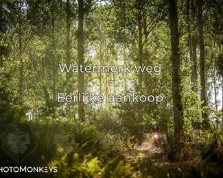 Foto's Boerenrock Festival 14-08-2026 | Enduro photo
