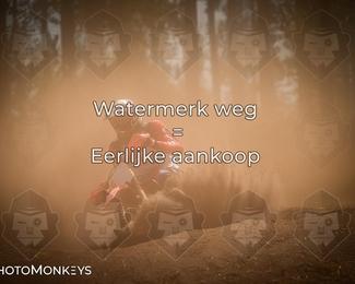 Foto's Boerenrock Festival 14-08-2026 | Enduro photo