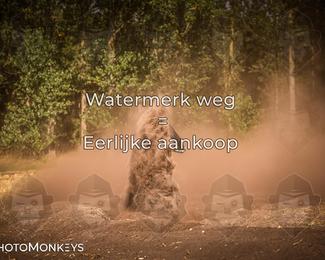 Foto's Boerenrock Festival 14-08-2026 | Enduro photo