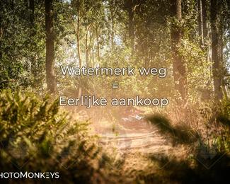 Foto's Boerenrock Festival 14-08-2026 | Enduro photo