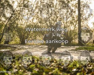 Foto's Herfstrit Moerzeke | Hartrijders 25-10-2026 photo