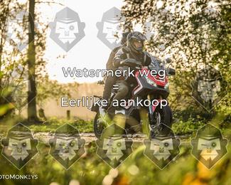 Foto's Herfstrit Moerzeke | Hartrijders 25-10-2026 photo