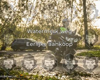 Foto's Herfstrit Moerzeke | Hartrijders 25-10-2026 photo
