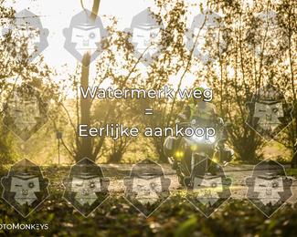 Foto's Herfstrit Moerzeke | Hartrijders 25-10-2026 photo
