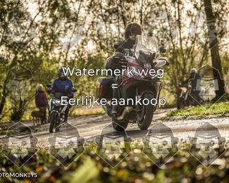 Foto's Herfstrit Moerzeke | Hartrijders 25-10-2026 photo