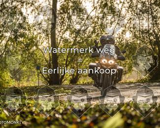 Foto's Herfstrit Moerzeke | Hartrijders 25-10-2026 photo