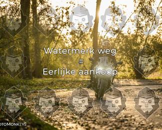 Foto's Herfstrit Moerzeke | Hartrijders 25-10-2026 photo