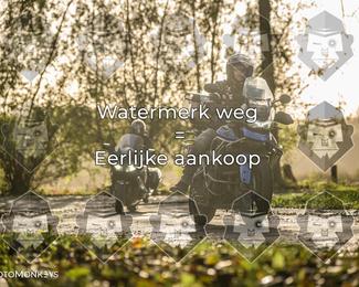 Foto's Herfstrit Moerzeke | Hartrijders 25-10-2026 photo