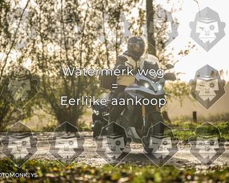 Foto's Herfstrit Moerzeke | Hartrijders 25-10-2026 photo