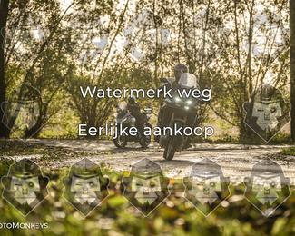 Foto's Herfstrit Moerzeke | Hartrijders 25-10-2026 photo