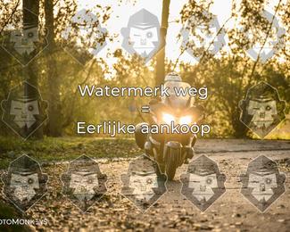 Foto's Herfstrit Moerzeke | Hartrijders 25-10-2026 photo
