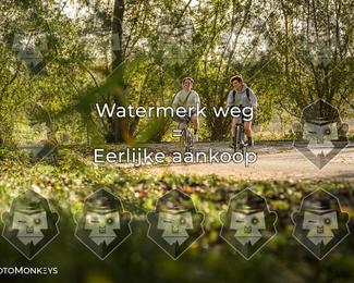 Foto's Herfstrit Moerzeke | Hartrijders 25-10-2026 photo
