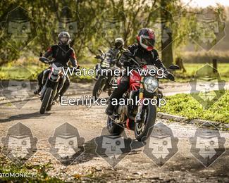 Foto's Herfstrit Moerzeke | Hartrijders 25-10-2026 photo
