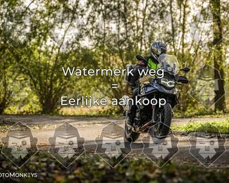 Foto's Herfstrit Moerzeke | Hartrijders 25-10-2026 photo