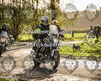 Foto's Herfstrit Moerzeke | Hartrijders 25-10-2026 photo