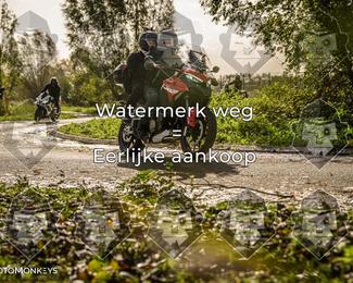 Foto's Herfstrit Moerzeke | Hartrijders 25-10-2026 photo