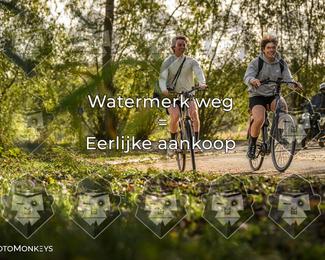 Foto's Herfstrit Moerzeke | Hartrijders 25-10-2026 photo