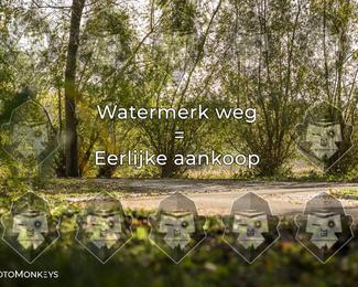 Foto's Herfstrit Moerzeke | Hartrijders 25-10-2026 photo