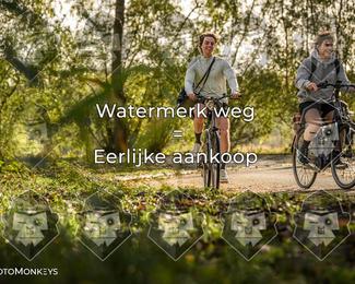 Foto's Herfstrit Moerzeke | Hartrijders 25-10-2026 photo