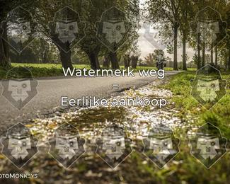 Foto's Herfstrit Moerzeke | Hartrijders 25-10-2026 photo