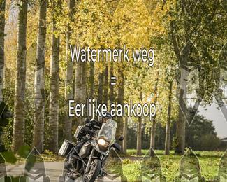 Foto's Herfstrit Moerzeke | Hartrijders 25-10-2026 photo