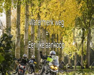 Foto's Herfstrit Moerzeke | Hartrijders 25-10-2026 photo