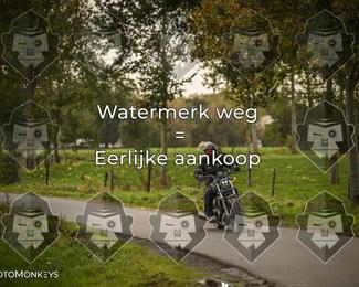 Foto's Herfstrit Moerzeke | Hartrijders 25-10-2026 photo