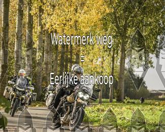 Foto's Herfstrit Moerzeke | Hartrijders 25-10-2026 photo