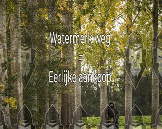 Foto's Herfstrit Moerzeke | Hartrijders 25-10-2026 photo