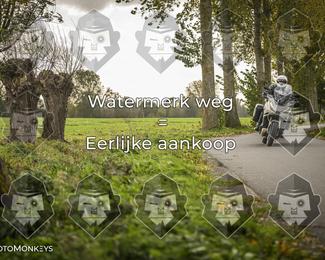 Foto's Herfstrit Moerzeke | Hartrijders 25-10-2026 photo
