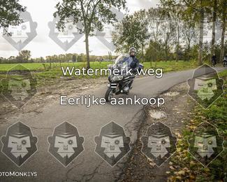 Foto's Herfstrit Moerzeke | Hartrijders 25-10-2026 photo