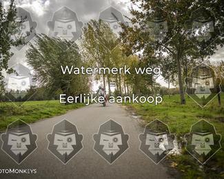 Foto's Herfstrit Moerzeke | Hartrijders 25-10-2026 photo