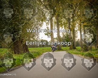 Foto's Herfstrit Moerzeke | Hartrijders 25-10-2026 photo